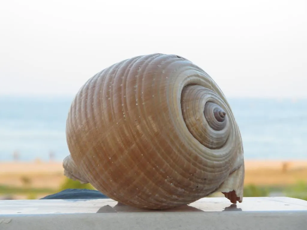 Apartament Rodolithos Beach Studios Stavros